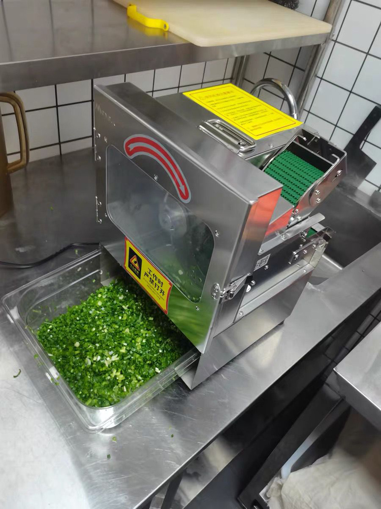 Commercial Kitchen Plumbing - 150kg/h Gemüseschneider Multifunktionaler Lebensmittelzerkleinerer für Restaurantküchen