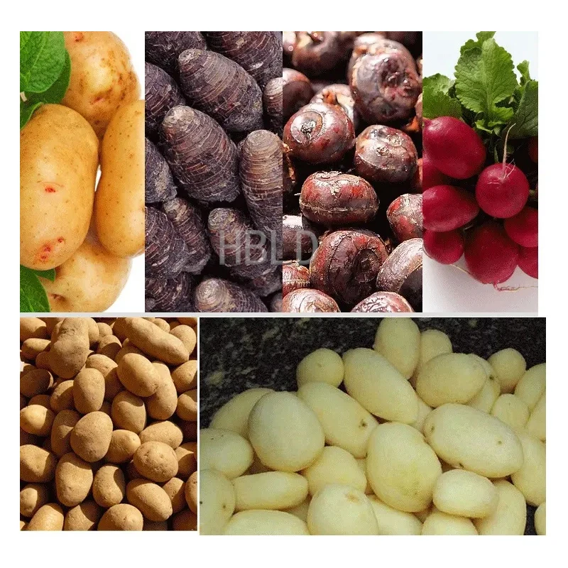 HBLD Kommerzieller Kartoffelsc – Commercial Potato Peeler Bewertung und Preis